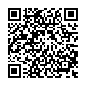 别以为自己成就真格地仙就天下无敌了……两域可以收拾你的人二维码生成