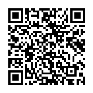 别忘了每一条鱼都会在你们的支票上增加上一组数字二维码生成