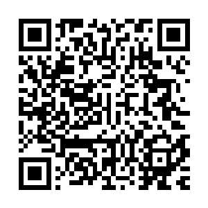 到头来却完不成约定的目标――虽然他们也说过杀不掉也无所谓二维码生成