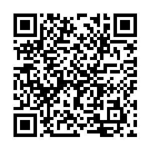 到底是什么信念让雨果愿意相信迈克尔是无罪的呢二维码生成