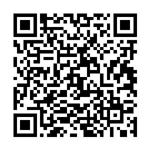 到时候你这个敢阻止我们救他的人就一定会死的非常惨二维码生成