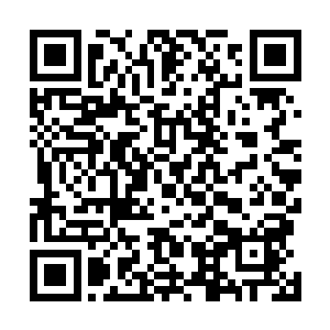 到最后我们节目的所有人都会把你们送到你们现实的家里二维码生成