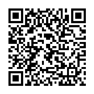 加上被爆单位的连锁殉爆……火光再一次吞没了这里二维码生成