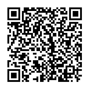 勾起一家人在这里留下的回忆……曾经他们也在这里那么无忧无虑地生活过二维码生成