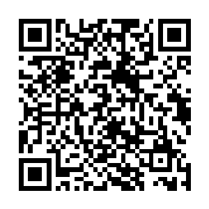 十字拍卖商会可是会根据特殊的圣器检测到你的气息和灵魂二维码生成