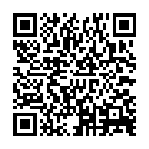 十枚……现在二十枚摆放到一起那效果可就十分的震撼了二维码生成