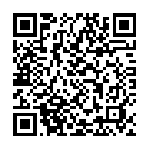 千疮百孔的毒蜂战梭在他眼中完全分解成最基础的构件二维码生成