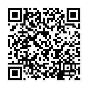 半空中那寒冰凝结而成的巨掌已经出现了一条条裂痕二维码生成