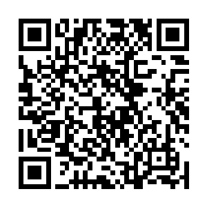 单是被毁掉的域主级墨巢和那几十倍数量的领主级墨巢二维码生成