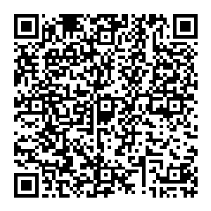 南宫凤鸾是最恨别人在她面前表现优越感的 所以 他对于菲尼斯的行为十分的不爽 更对老板的行为不爽 所以就开口问了起來二维码生成