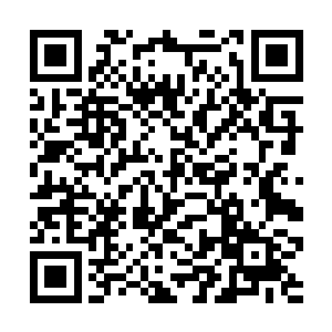 卢向东的任何决定恐怕都不可能在厂务办公会上通过二维码生成