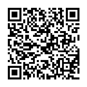 卢家的废墟已经被展队他们这些挖尸体的整理过一次了二维码生成
