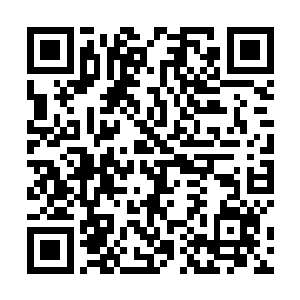 即使以梧桐树树根的坚硬和其离火灵根的特殊也是如此二维码生成