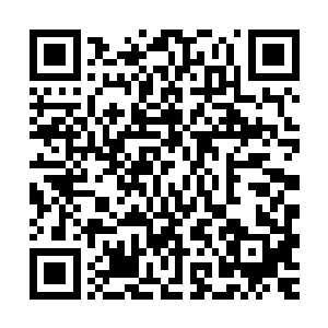 即使对师傅的医术十分有信心的墨无忧也不敢保证一定能够痊愈二维码生成