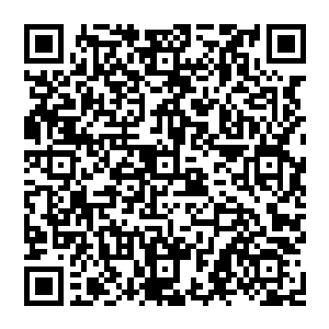 即便在大头身增加麻药的使用剂量也不一定会有很好的效果――和银针麻醉没办法压抑痛感一样二维码生成