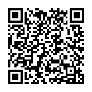 即便是他们在凤家地位不低凤家也绝对不会容他们胡来二维码生成