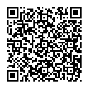 却几乎每一次都可以轻松得手的……尽管他的掌力看起来是那样轻飘飘的毫无杀伤力二维码生成