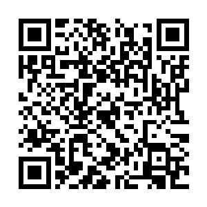 却的的确确是没有做过一件对不起王妃和大顺之事二维码生成