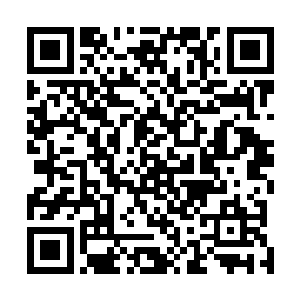 原是数量繁多的魔灵修罗们竟是完全不管冷月军扑杀零散二维码生成