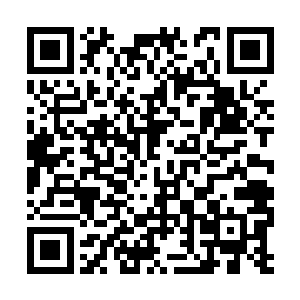 原本他们觉得修炼到了地仙境界便是无敌于天下了二维码生成