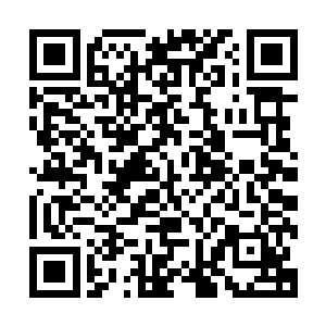 原本任务目标是前往欢海梅花岛寻找梅树一族出现问题的缘由二维码生成