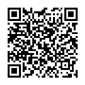 去倒垃圾的时候杨颖追了过来把我堵在二楼栏杆的一角二维码生成