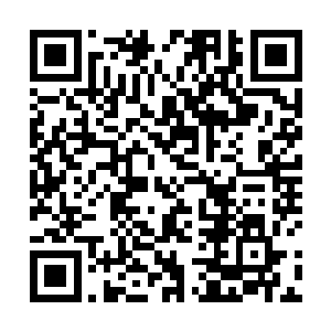 又将会是多么的重我如今已经管不了很多人幸福不幸福二维码生成