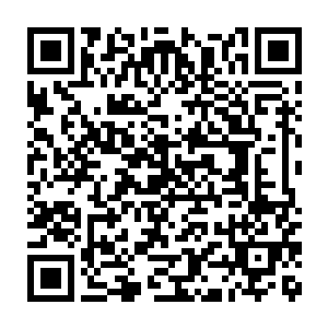 又或许他们认为人类的形态才代表着碳基智慧生命的终极发展方向二维码生成