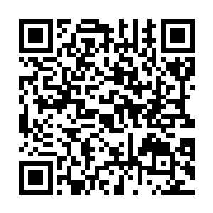 又是如何凭借简陋的法宝和处于蒙昧中的修炼技术储备二维码生成