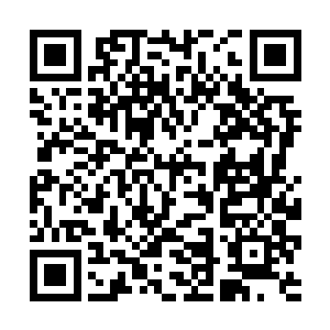 又是连续劈下了数道更加厚实而截面巨大的弯月剑气二维码生成