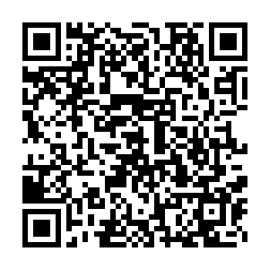 口画着一个斗牛犬叼着荆棘皇冠的标志――这也是荣耀至死的官方标志二维码生成