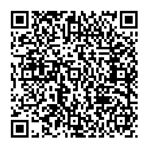 另一个原因是祝天养手下的人半个月前才在目标毫不知情的情况下摸清杨天武留在松江的几个暗哨二维码生成