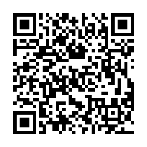 只不过是世界之树的一根特殊的枝桠上生长出来的而已二维码生成