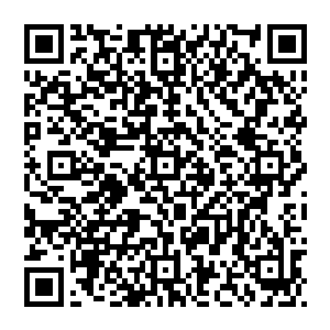 只不过缴纳的费用比玩家社区高出很多而已…而且所有任务都必须由主神空间安排…不过想着先前被司慕坑的几次二维码生成