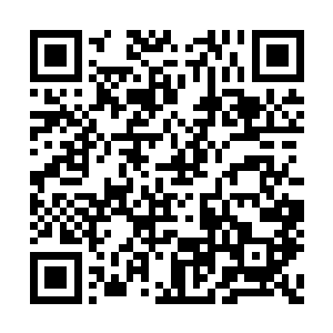 只为了在治病的过程中确定对方是不是姚显再生二维码生成