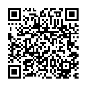 只是万蛇……到了现在你总算可以将所有的经过告诉我们了吧二维码生成