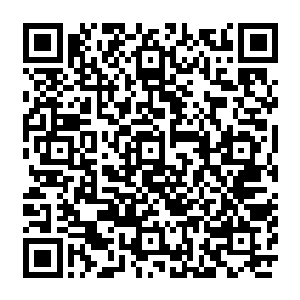 只是大家在看到煞门老大的妻子和儿女的状况的时候就已经意识到第十关到底是什么了二维码生成