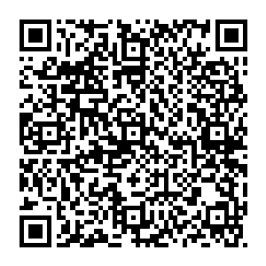 只是妻子与别的男人厮混所诞生的野种……是他不能生育的耻辱……是他……是践踏他一切尊严的产物罢了……二维码生成