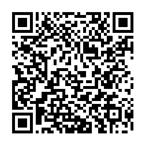 只是我不清楚为什么这里会有如此之多的尸体我的肉眼已经无法估量出数量了二维码生成