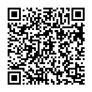 只有那些独自从校门里走出来精心妆扮的美丽女生才是男人们的宠物二维码生成