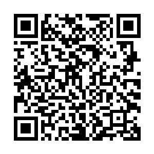 只留下了丹鼎门镇派绝学火木神功和丹鼎门的根基丹经的记忆二维码生成