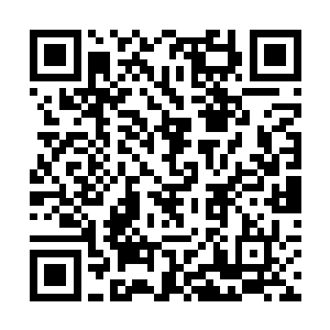 可以说是世界上最无欲无求无怨无悔付出的一种情感二维码生成