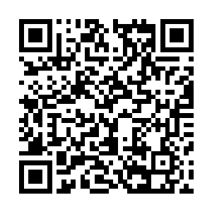 可敢在这位面前显摆战绩的估计如今找不出那么厚脸皮的人二维码生成
