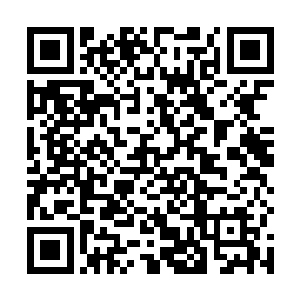 可是他们为什么会因为自己就终止了和组委会的合作呢二维码生成