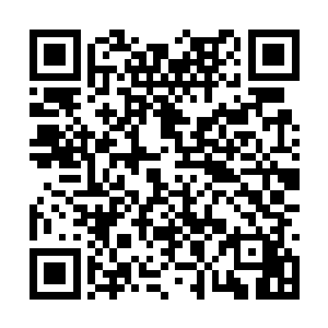 可是大鲨鱼海盗团的团长不但没有任何生气的意思二维码生成