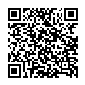 可是她又没感应到任何杀意或者……恨意杀气什么的二维码生成