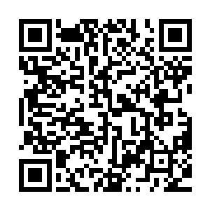 可是她的手一碰到小金的时候便感受到了一股巨大的重力作用二维码生成
