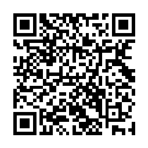 可是如果我们不保护你……那些家伙可以轻松的抓住你二维码生成