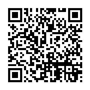 可谁让他们的父辈是实打实尸体堆里滚出来的将校二维码生成