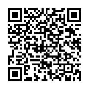 可这一次连自己百试百灵的撒娇手段都成了无用功二维码生成